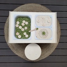 Charger l'image dans la galerie, Les cycles de vie