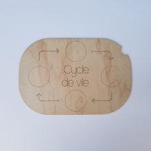 Charger l'image dans la galerie, Les cycles de vie