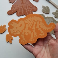 Charger l'image dans la galerie, Ensemble de fossiles de dinosaure en acrylique