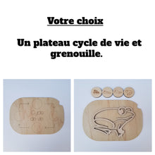 Charger l'image dans la galerie, Les cycles de vie