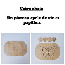 Charger l'image dans la galerie, Les cycles de vie