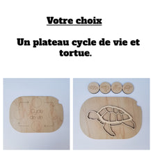 Charger l'image dans la galerie, Les cycles de vie