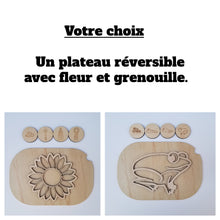 Charger l'image dans la galerie, Les cycles de vie