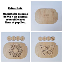 Charger l'image dans la galerie, Les cycles de vie