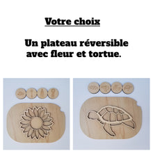 Charger l'image dans la galerie, Les cycles de vie