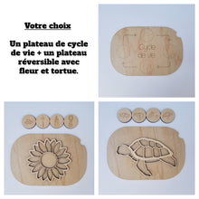 Charger l'image dans la galerie, Les cycles de vie