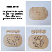 Charger l'image dans la galerie, Les cycles de vie