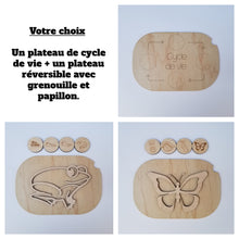 Charger l'image dans la galerie, Les cycles de vie