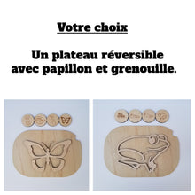 Charger l'image dans la galerie, Les cycles de vie