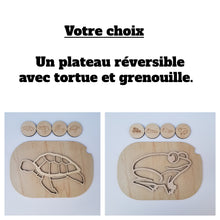 Charger l'image dans la galerie, Les cycles de vie