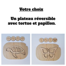 Charger l'image dans la galerie, Les cycles de vie