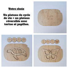 Charger l'image dans la galerie, Les cycles de vie