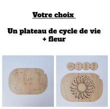 Charger l'image dans la galerie, Les cycles de vie