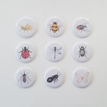 Charger l'image dans la galerie, La pêche mystère - Les insectes
