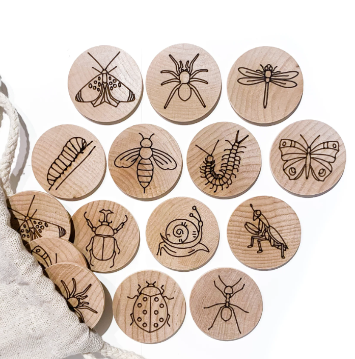 Jeu de mémoire - Les insectes